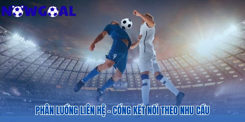 Hệ thống liên hệ phân luồng theo từng nhu cầu chuyên biệt