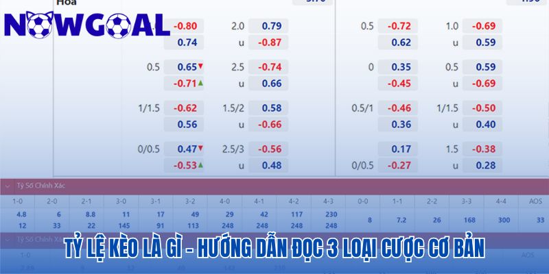 Giải mã 3 loại cược cơ bản để hiểu đánh giá của nhà cái